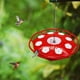 thumbnail image 3 of Comedero de 8 agujeros para exteriores, comedero para colibríes, dispensador de agua, taza para beber, tazón., 3 of 5
