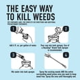 thumbnail image 5 of Roundup Dual Action 365 Weed & Grass Killer Plus 12 Month Preventer Concentrate, 32 fl. oz., 5 of 12