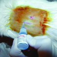 thumbnail image 3 of Adhesivo para pañuelos 3M Vetbond 014006, botella de 3 ml con puntas reutilizables, 3 of 5