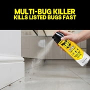 Raid Defense System Insect Killer, Indoor and Outdoor Home Defense Bug Spray for Ants, Roaches, Spiders and Flies, 15 oz