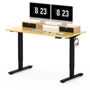 FlexiSpot 55x24 Electric Standing Desk with One-Piece Desktop, 2 Removable Drawers, Headphone Hook, 4 Height Memory Presets, 250lbs Capacity Ergonomic Sit Stand Desk with Monitor Stand