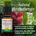 thumbnail image 3 of Peppermint Essential Oil Organic 0.5oz, 3 of 3