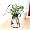 thumbnail image 3 of Iron Air Plant Base Holder Indoor Tabletop Plant Racks Flower Display Metal Frame;Iron Air Plant Base Holder Indoor Tabletop Plant Racks Flower Display,Black,15CM, 3 of 5