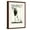 Brown Frame, variant on Art.com Hamlet Illustration by Beardsley Stretched Canvas Print Wall Art, 24" x 36"