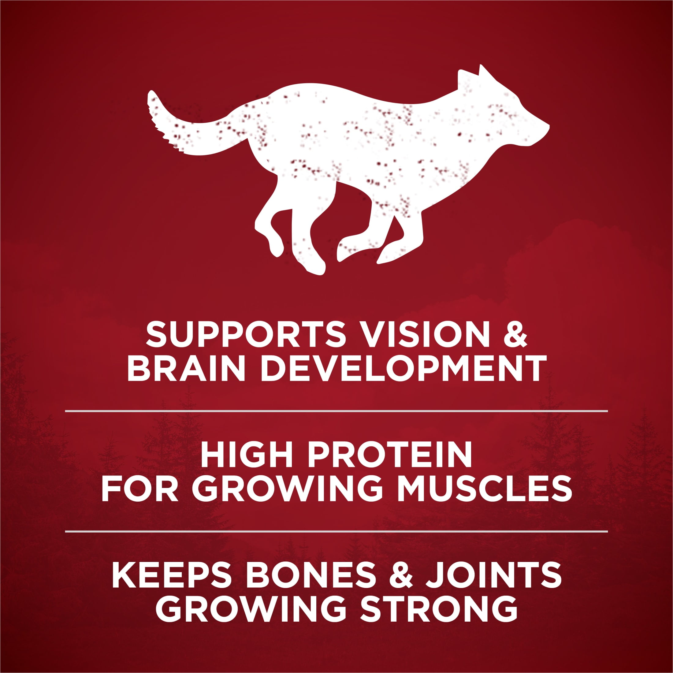 Purina ONE True Instinct with Real Chicken and Duck High Protein Dry Puppy Food Formula Natural with Added Vitamins, Minerals and Nutrients, 15 lb. Bag