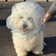 thumbnail image 7 of Pet Muzzle Headgear For Dogs And Cats Blue Breathable Mesh Adjustable Elastic Strap, 7 of 7