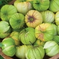thumbnail image 3 of Burpee Organic Green Tomatillo Vegetable Seed, 1-Pack, 3 of 6
