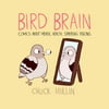 Bird Brain : Comics About Mental Health, Starring Pigeons (Paperback)