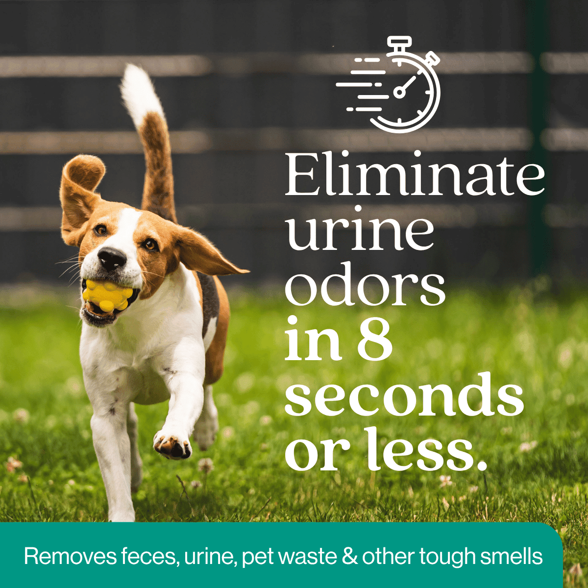 Outdoor Odor Eliminator: EcoStrong Dog and Cat Urine Enzyme Deodorizer (10 x 2oz Shots)