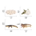 thumbnail image 2 of Animaux de Simulation Crocodile Cycle de Croissance Figurines Modèle Miniature Jouet Éducatif pour Enfants, 2 of 7