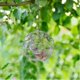 thumbnail image 3 of Colgante de mariposa colgante, luz solar, orbe de malla, adornos para interiores y exteriores, jardín, 3 of 4