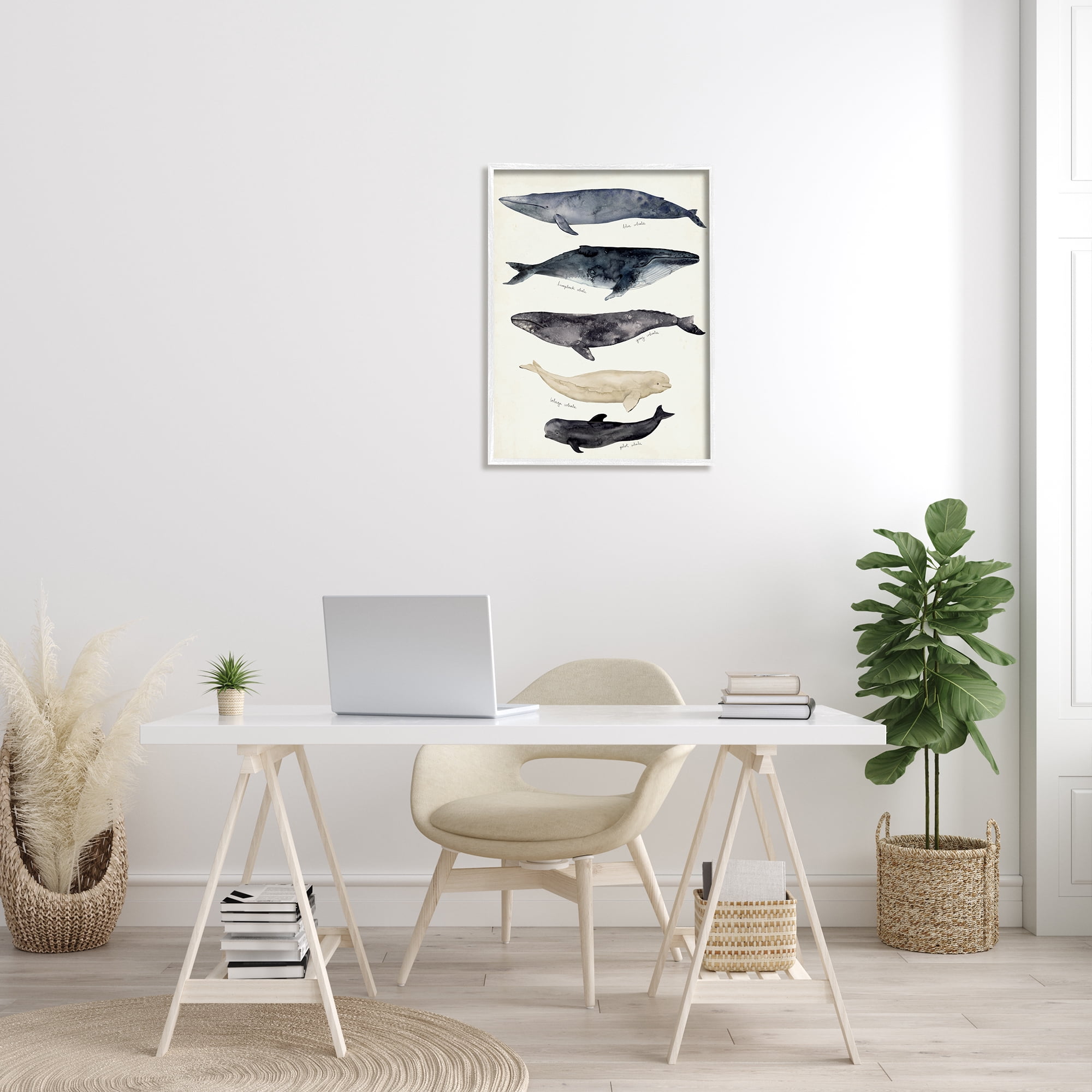 Stupell Industries Antique Whale Chart Large Vintage Nautical Animals Nature Painting White Framed Art Print Wall Art, 24 x 30
