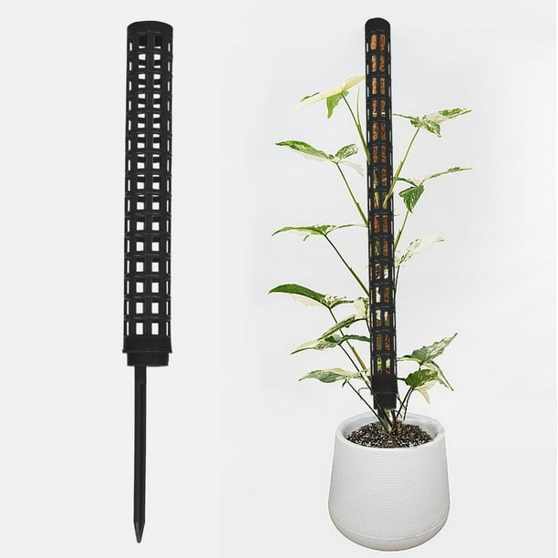 Moss Column Green Ivy Stick Water Moss Column Climbing Tool Plastic Moss