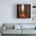 thumbnail image 2 of Christian Lindsten 'Dont Wake Me Up' Canvas Art, 2 of 4