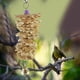 thumbnail image 5 of Juguete para loro Yuyangstore Juguete colgante de masticar con campana, 5 of 8