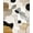 Beige, Pattern 4, variant on ODIKA 8'x10' Beige Tan Black Modern Abstract Irregular Shape Artistic Flow Washable Area Rug Non-Shedding, Easy Care, for King Size Bedroom Under Bed, Master Suite