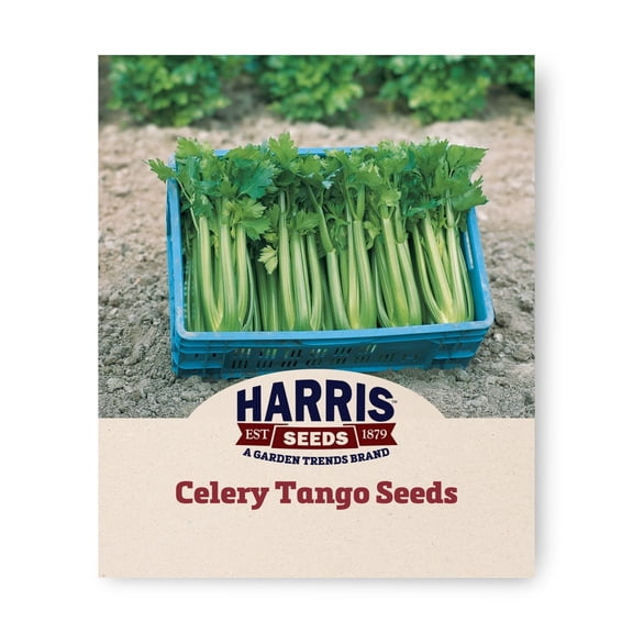 Harris Seeds Celery Tango Organic Variety, Non-GMO, 50 Count