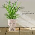 thumbnail image 3 of Face Planter, Planter Pot Bottom Drainage Hole Decorative  for Indoor, 3 of 7