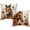 Brown Horse, variant on Dragonfly Throw Pillow Covers with Daisy Floral 18 x 18 Inch Nature Theme Cushion Covers Watercolor Art Home Decor Spring Summer Pillow Cases 2 Pack for Sofa Couch Porch