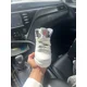 thumbnail image 4 of Size 5.5 - Jo r-dan 5 Retro Pro Stars 2015, 4 of 5