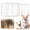 White, variant on SHegdu 48In Pet Playpen, Heavy Duty Metal Wire Cage, Foldable Indoor Pet Small Dog Anti-Escape, Suitable for Puppies and Cats (White)