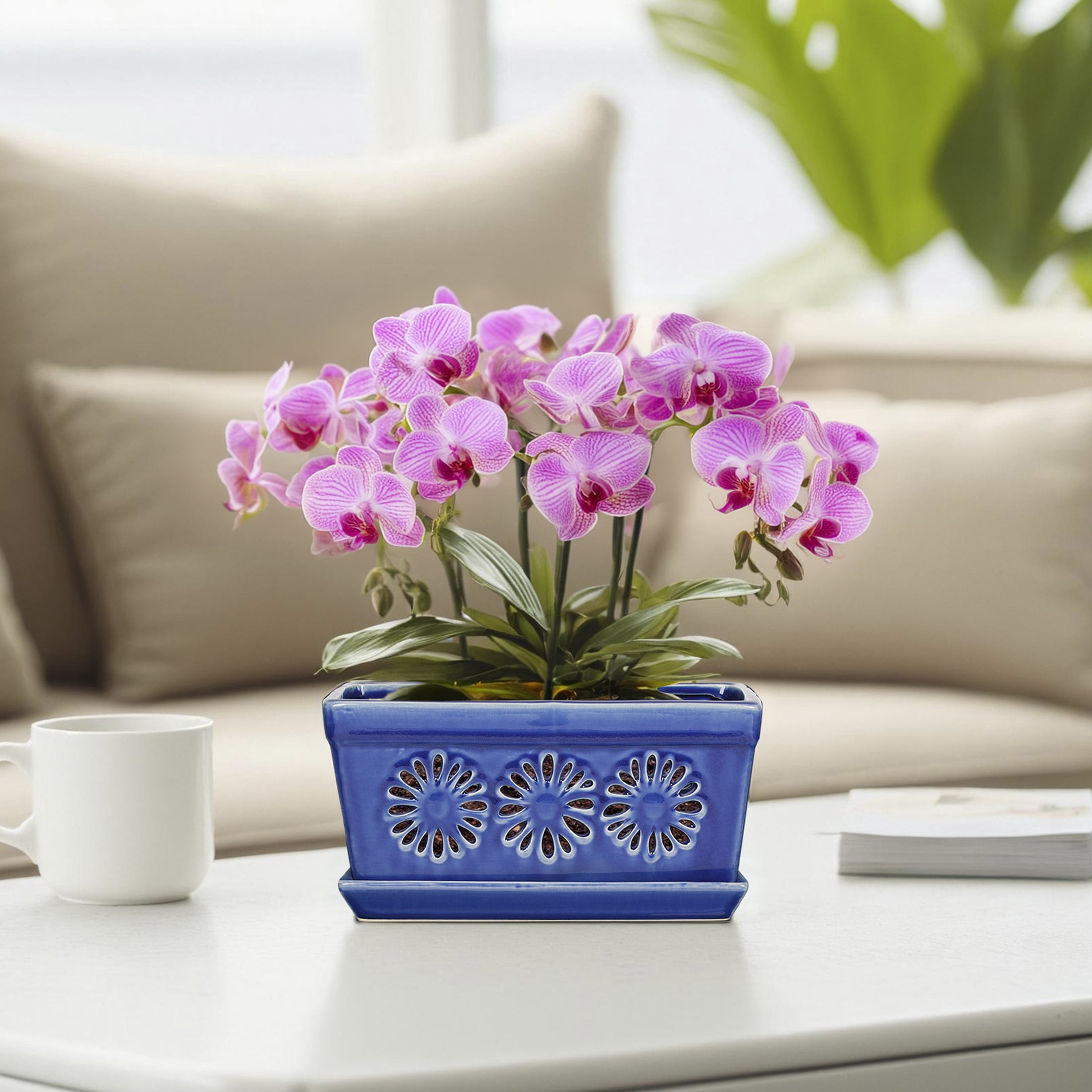 Ceramic orchid pot, 10 inch orchid pots with holes, handmade glazed pot for orchidaceae plants, accommodate 2 orchids, blue