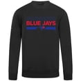 thumbnail image 2 of Men's Levelwear Black Toronto Blue Jays City Connect Zane No Hitter Pullover Sweatshirt, 2 of 3