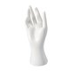 thumbnail image 4 of Mano de maniquí femenino, soporte para pulseras, brazaletes y collares, resistente, moderno y ligero, expositor de anillos, para guantes y cadena de Blanco, 4 of 8