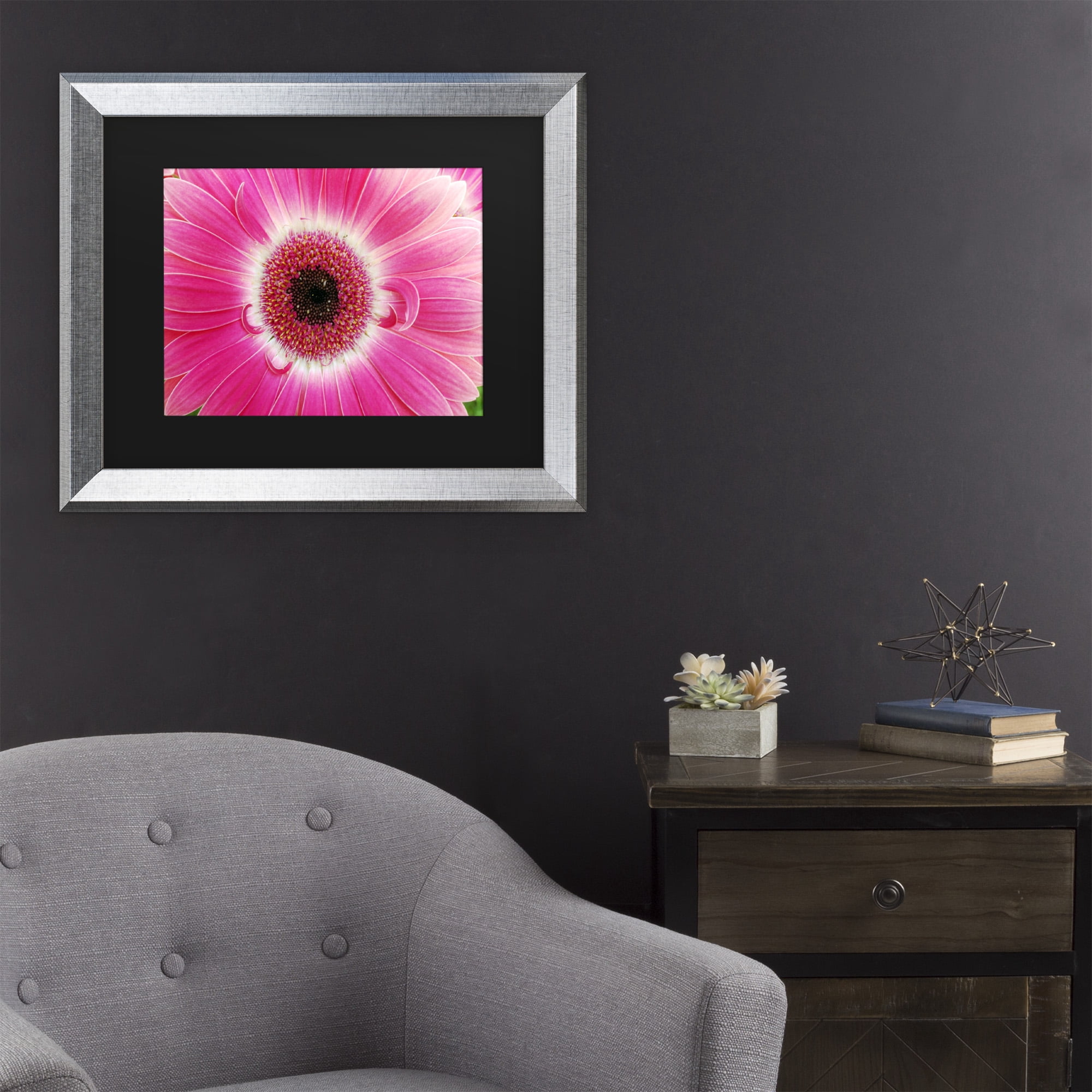 Trademark Fine Art 'Pink Gerber' Canvas Art by Kurt Shaffer