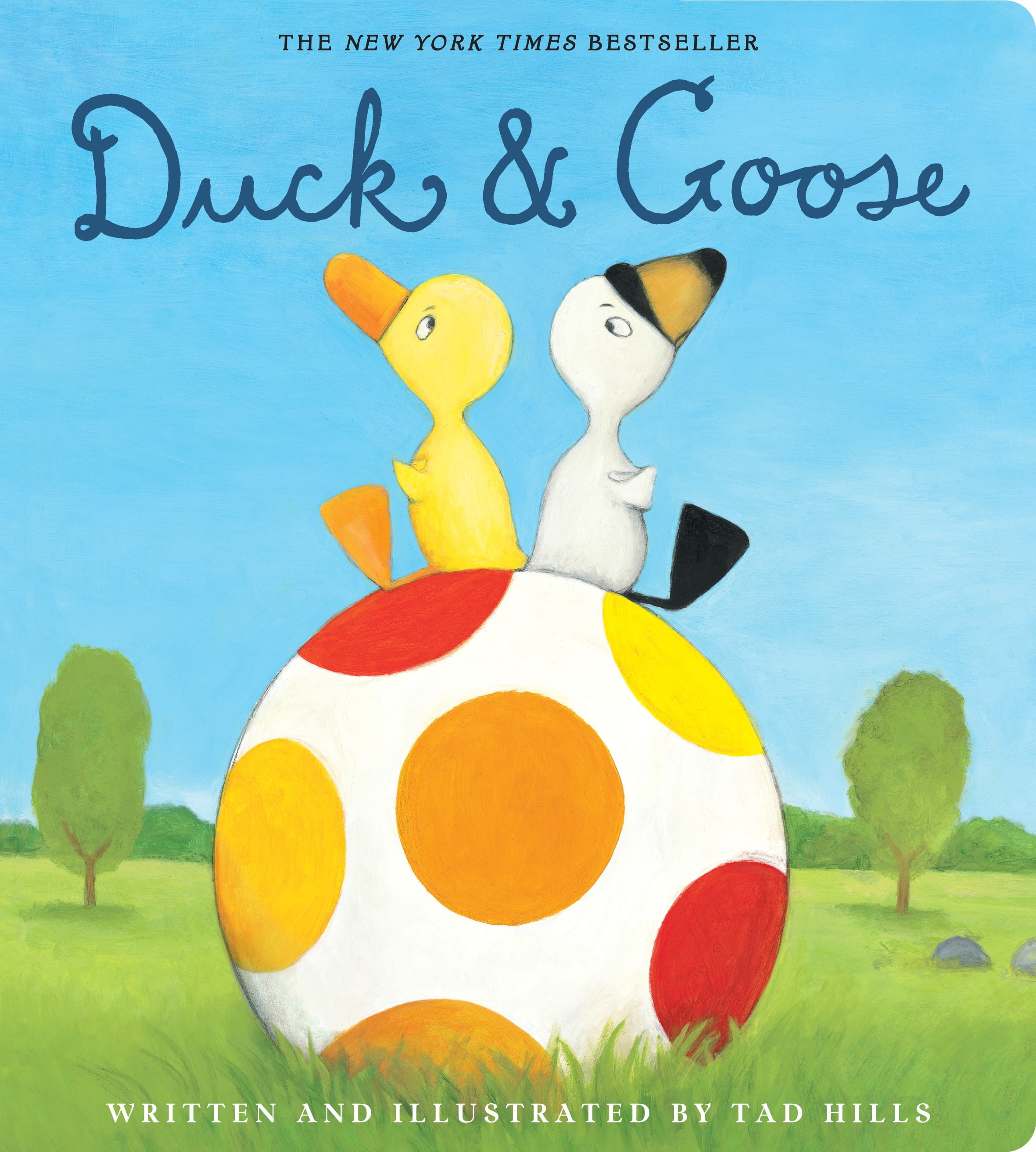 Duck & Goose Board Book