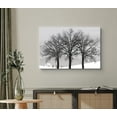 thumbnail image 2 of wall26 Canvas Print Wall Art Black &amp; White Forest Tree Silhouettes Nature Wilderness Photography Modern Art Rustic Scenic Colorful Multicolor for Living Room, Bedroom, Office - 32"x48", 2 of 5