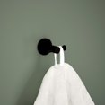 thumbnail image 2 of czcpp-PA547-BL Precept Double Towel Hook, Matte Black, 2 of 4