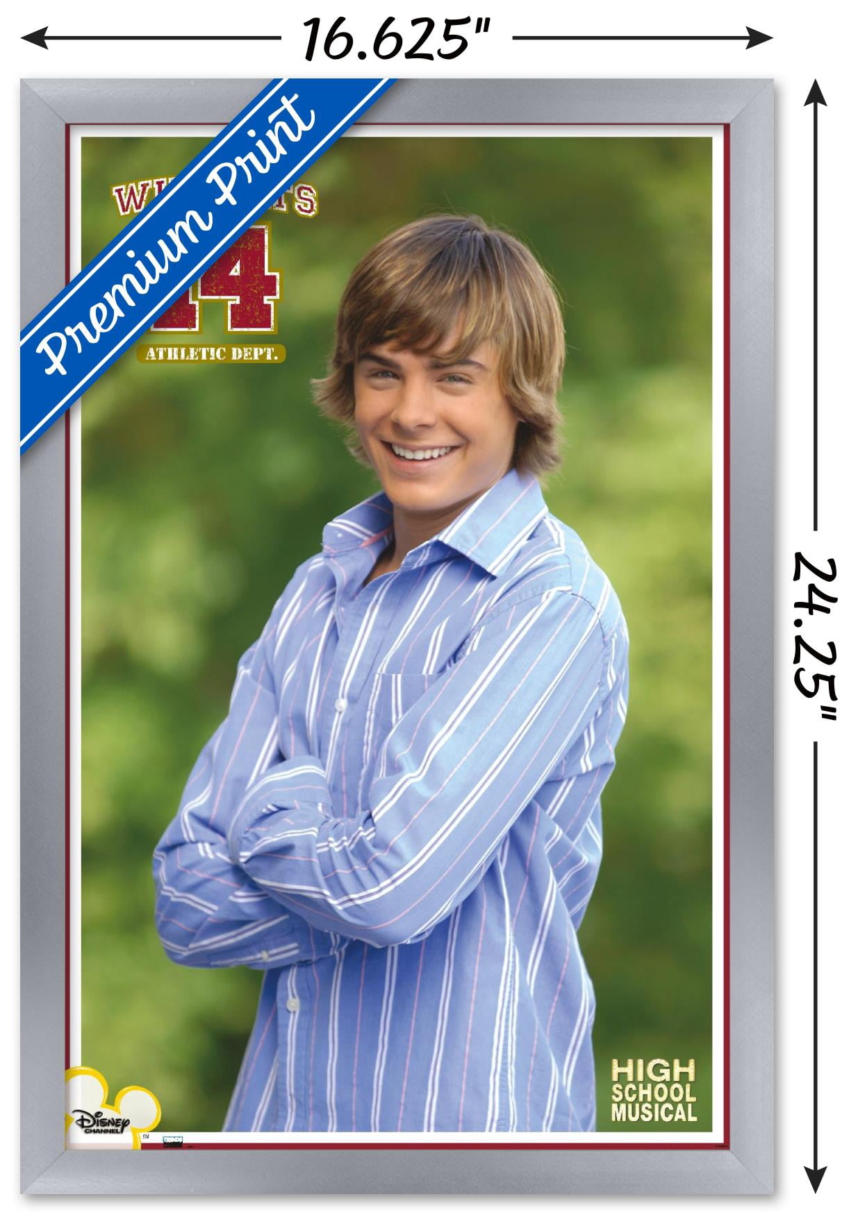 High School Musical - Troy Wall Poster, 14.725" x 22.375" Framed