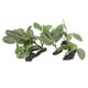 thumbnail image 3 of Decoraciones De Plantas De Acuario, 2 Piezas De Plantas Artificiales De Tanque De Peces Naturales De Alta Simulación Fina Detallada Para Tanque De Peces ANGGREK Cocina, Decoración y Otros, 3 of 5
