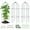 Green, variant on SUNYRISY 3 Pack Metal Garden Arch Trellis for Climbing Plants Outdoor, 17.7" x 47.2" Tomato Cage Obelisk Trellis for Flowers Cucumber Rose Vegetable Support