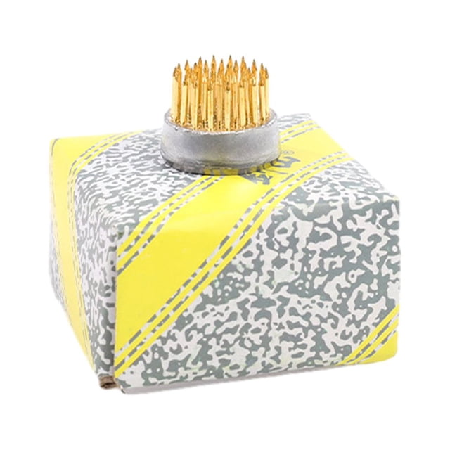 Matsuzay Aguja de cobre Jianshan dorada, solución de arreglo floral firme y duradera, fijador de arreglo floral de estilo chino Jardín y Patio Redondo23mm40gsin