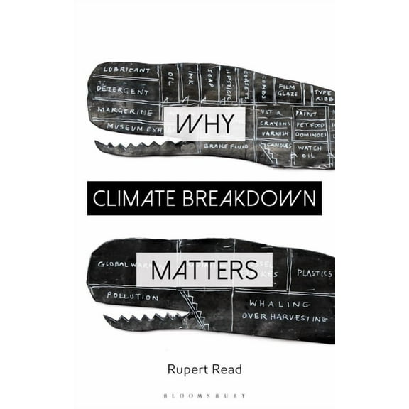 Why Philosophy Matters Why Climate Breakdown Matters, (Paperback)