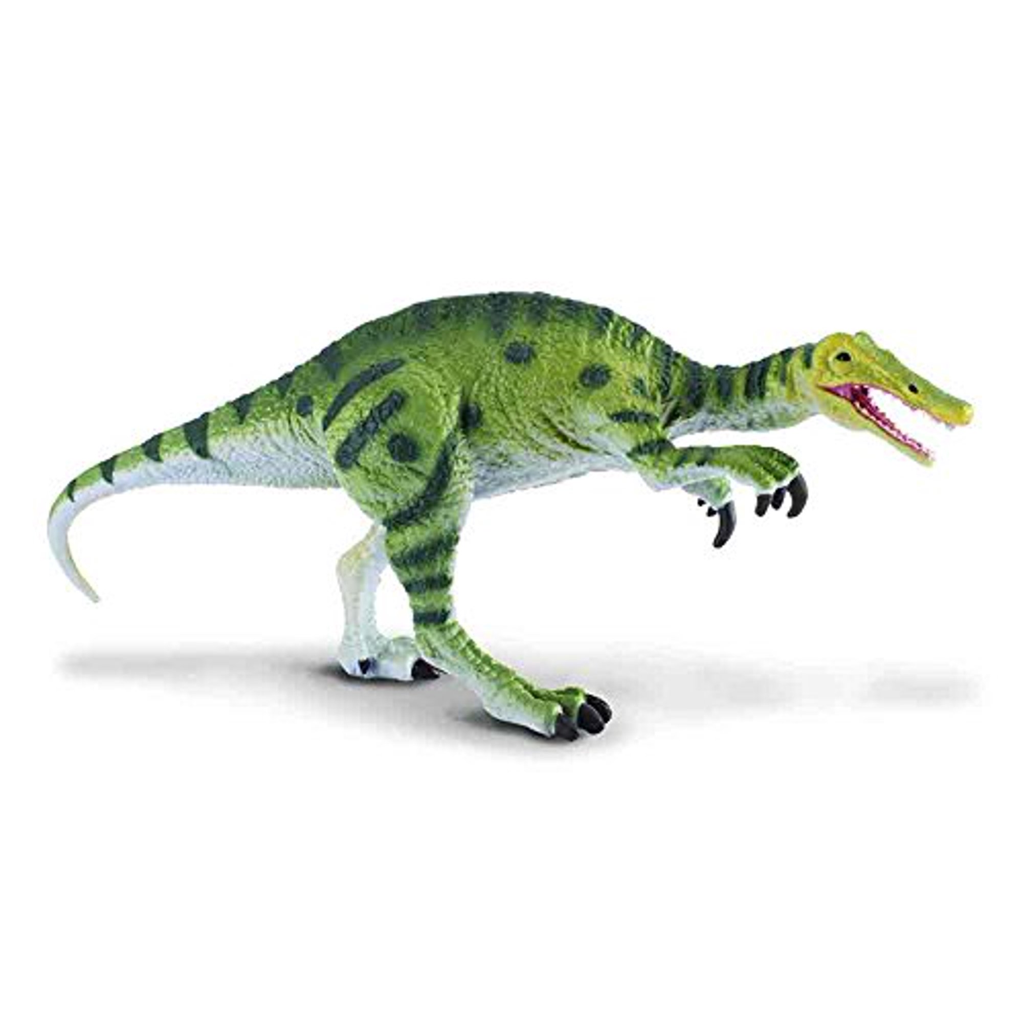 Collecta – Dent De T-Rex Côté – Fossile Préhistorique En Boîte Cadeau – Idéal Pour Jeunes Paléontologues Dès 3 Ans