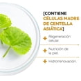 thumbnail image 3 of Vitasei | Serum Facial Noche con Células madre y Colágeno de 30 ml | Hidro renovador celular | Piel Rejuvenecida, 3 of 7
