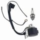 thumbnail image 2 of Premium Ignition Coil with Spark Plug Compatible with Various Chainsaw Models including MS240 MS260 MS290 MS310 and More, 2 of 4