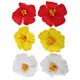 thumbnail image 1 of unbranded 6Ud Clips De Con Bohemias Para Mujer En Material De Tela Duradero, 1 of 8