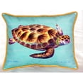 thumbnail image 4 of Betsy Drake ZP044C 20 x 24 in. Green Sea Turtle Teal Extra Large Zippered Pillow, 4 of 4