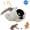 Gray Mountain Finch, variant on EVNELE Interactive Electronic Cat Toy, Automatic Chirping Bird Toy Squeaky with Feather Tail, Melody Chaser Toy for Cats to Play Alone, Play and Squeak Kitten Toy for Boredom