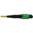 thumbnail image 2 of Tripp Lite N392B-61M-3X8AP Fiber Optic Trunk Network Cable, Yellow Jacket, Black Connector, Green Connector, 2 of 4