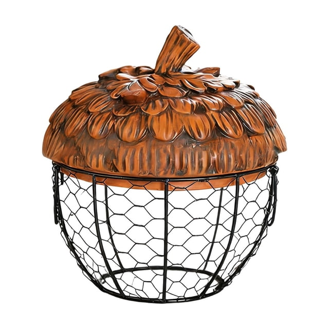 Wozhuo Hen Basket Storage Organizer Kitchen Decor Fruit Snack Holder Wrought Iron