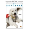 thumbnail image 3 of DC Studios Superman (2025) - Krypto Feature Series Wall Poster with Magnetic Frame, 22.375" x 34", 3 of 5