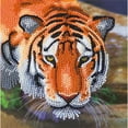 thumbnail image 1 of Crystal Art Trousse de Cartes - Tigre, 1 of 1