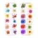 thumbnail image 1 of Flores Secas De Uñas, Esmalte De Uñas De Lentejuelas, Pegatinas De Uñas, Arte De Uñas, 1 of 5