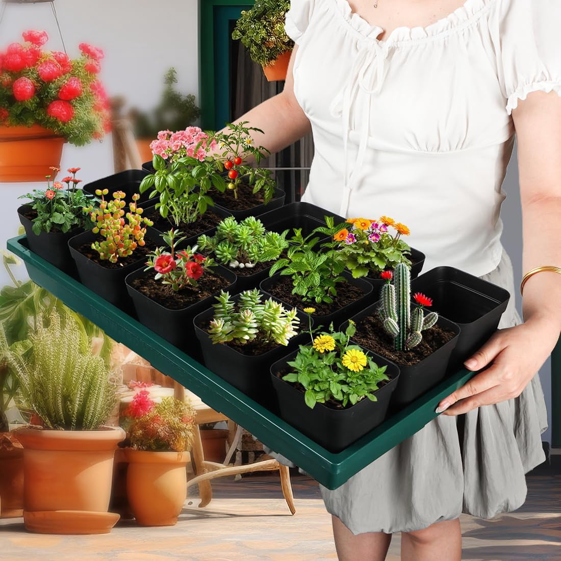 Seed Starter Plant Nursery Pots Trays, 5-Pack of Plastic Green Flats for Carrying and Holding Planting Pots