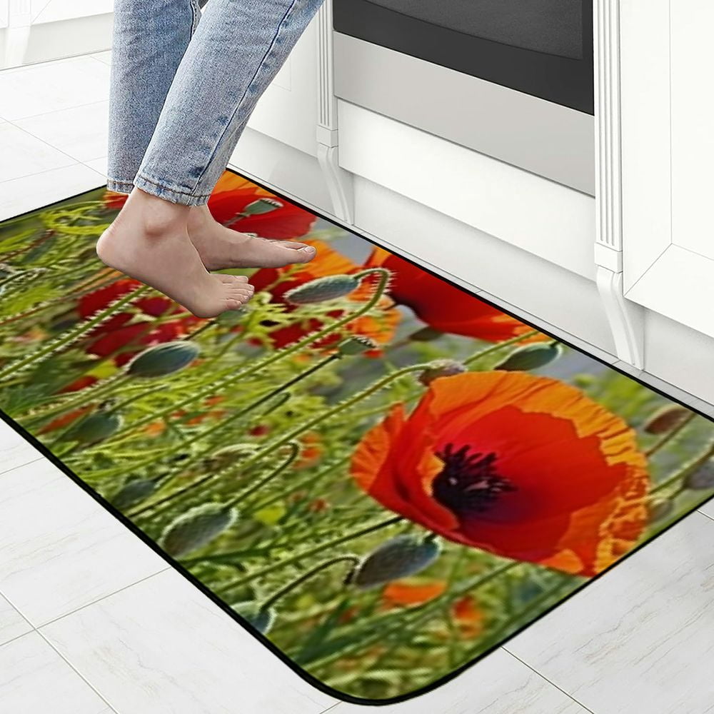 Heduofu Decorative Door Mat, Door Mat with Non-Slip Rubber Backing, Easy Cleaning, Traps Dirt, for Entry, Patio, Garage 19.68*47.24 in